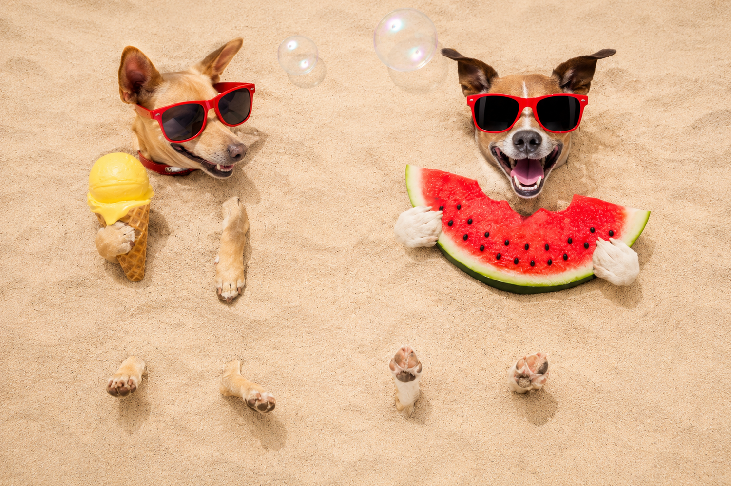 ☀️Summer Essentials